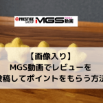 【画像入り】MGS動画でレビューを投稿してポイントをもらう方法
